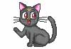 Lune gif