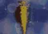Sailor Uranus, Neptune, Pluton gif